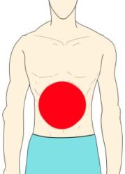 腹