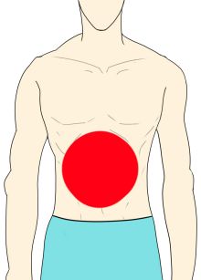 腹