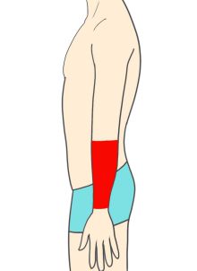 ひじ下