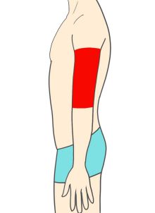 ひじ上