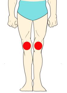 ひざ