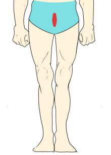 男性器