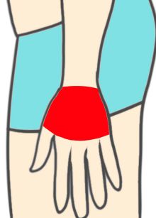 手の甲