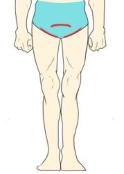 Vライン