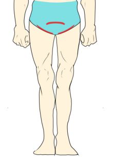 Vライン