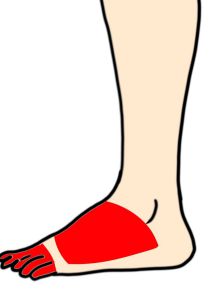 足の指甲
